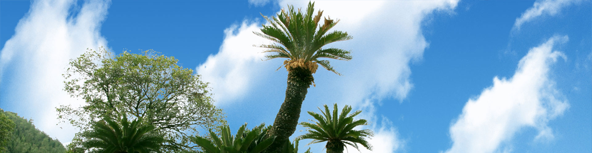 我命在我不在天 ，延長生命從有機生活開始。