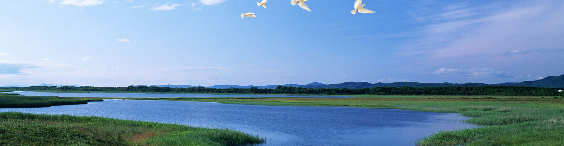 我們來于大自然，我們敬畏大自然，我們善待大自然。