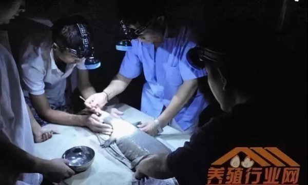 資本試水區塊鏈生物科技+大健康，場景應用時代已然來臨！