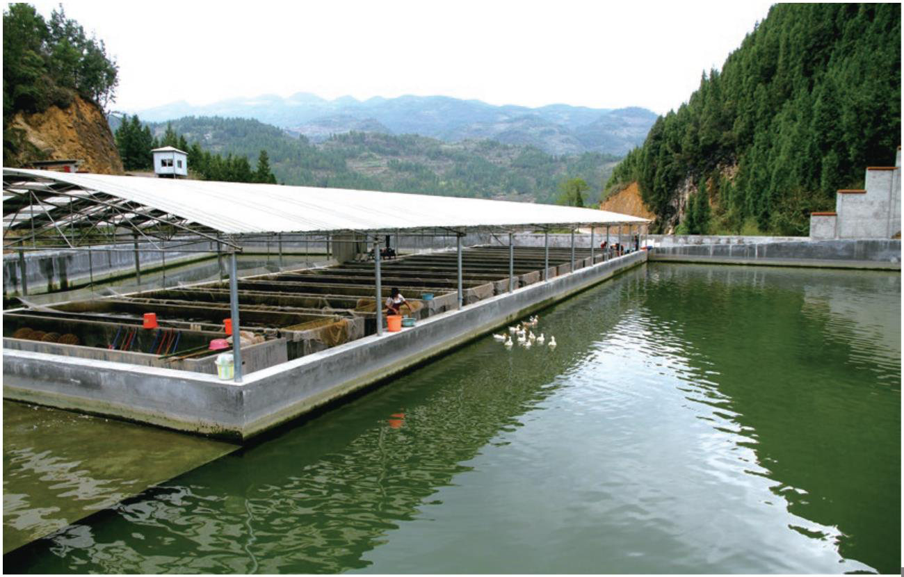 15391614383551.png 圖片1.png