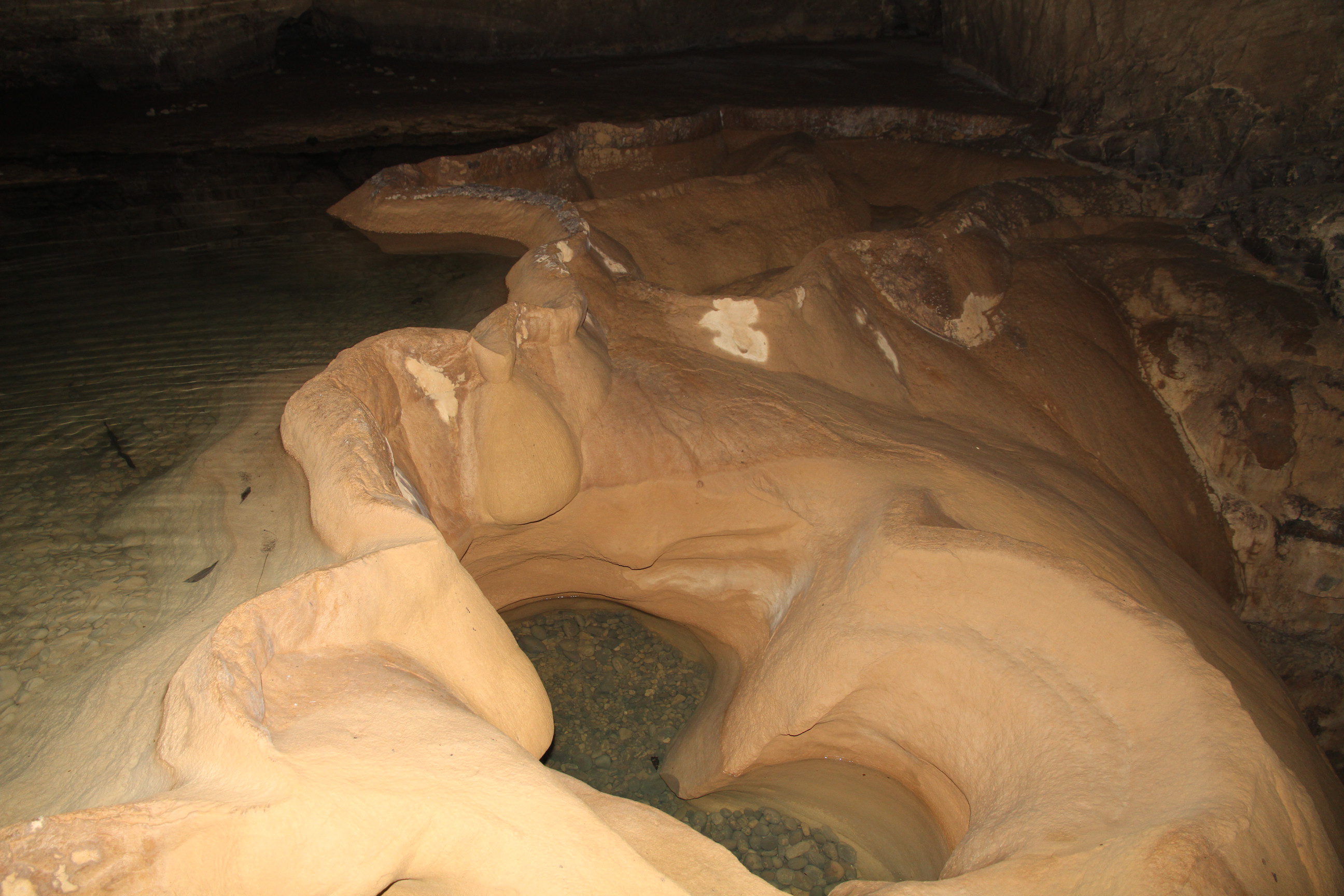 15404344876456.png 圖片4.png